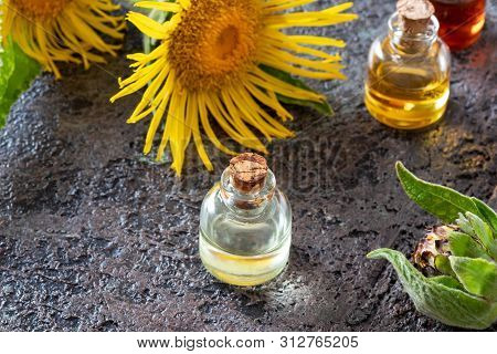 Bottles Of Elecampane Essential Oil With Fresh Inula Helenium Flowers On A Dark Background