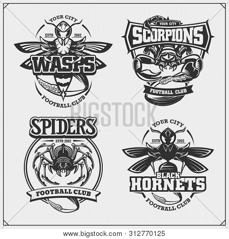 Hornets_scorp3.eps