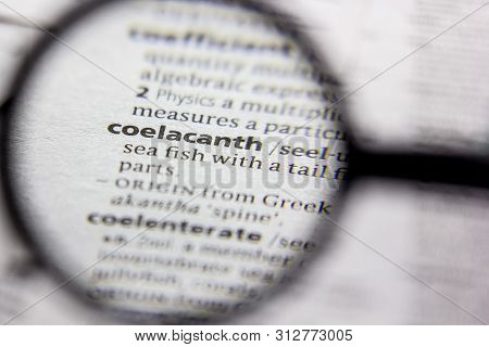 Word Or Phrase Coelacanth In A Dictionary