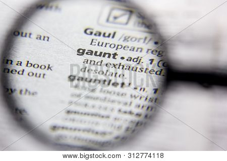 Word Or Phrase Gaunt In A Dictionary