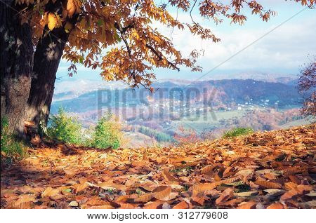Scenic Autumn Mountain Landscape With Brown Yellow Leaves Lying On The Ground. Beautiful Scenery. So