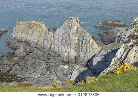 Mort Slate Rock Formation At Bull Point, North Devon, Uk