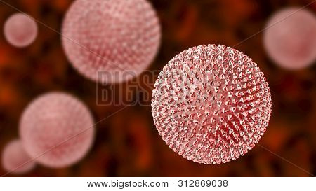 Measles Viruses. 3d Illustration Showing Structure Of Measles Virus With Surface Glycoprotein Spikes