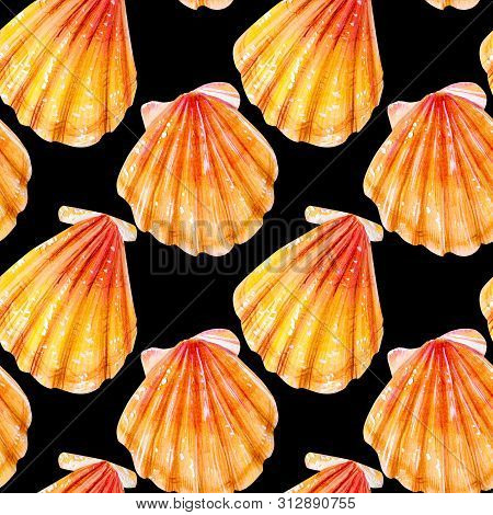 Seamless Pattern Of Yellow Scallops. Beige Bivalve Mollusk Pectinidae On A Black Background. Nature 