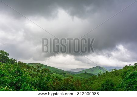 Vagamon, Kerala, India- 07 July 2019: Pine Forest In Vagamon Hills