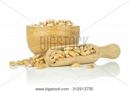 Lot Of Whole Raw Fresh Beige Dinkel Wheat Grain In A Wooden Bowl Isolated On White Background