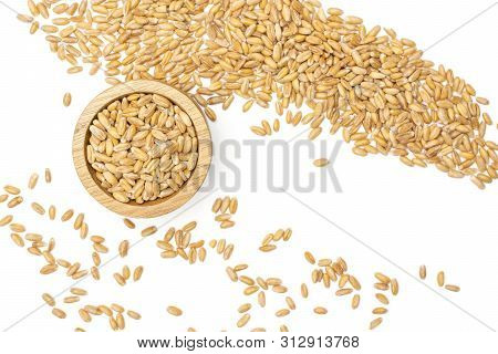 Lot Of Whole Fresh Beige Dinkel Wheat Grain In A Wooden Bowl Flatlay Isolated On White Background