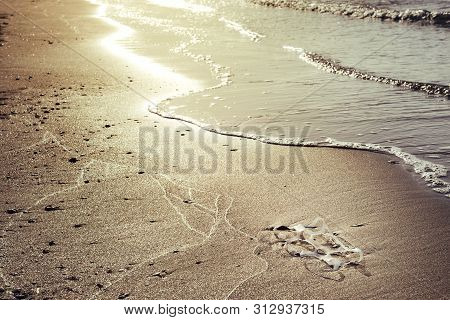 Background Of A Plastic Rings Lies On The Shore Of The Beach At Sunset And Pollutes The Sea And The 