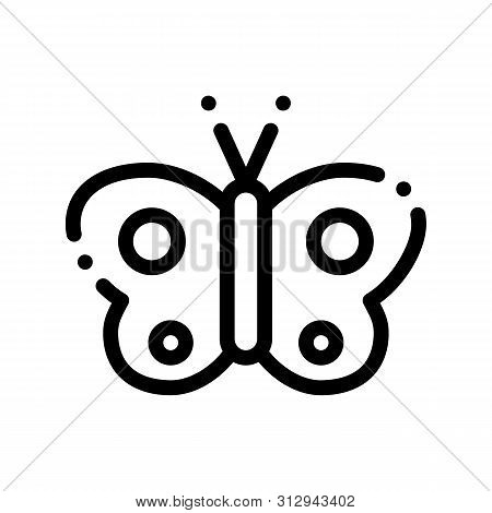Cosmetic Butterfly Sign Thin Line Icon. Organic Cosmetic, Natural Component, Flutterby Clear Wing Li