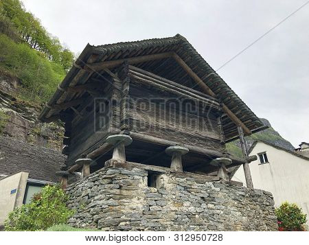 Torba Dpadovagn, Bignasco (the Maggia Valley Or Valle Maggia Or Maggiatal) - Canton Of Ticino, Switz