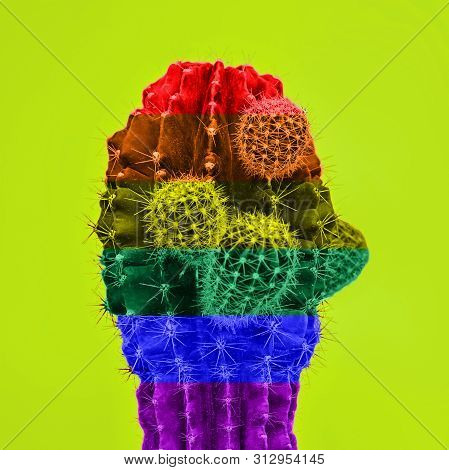 Cactus Colored In Flag Of Lgbt Community On Green Background. Negative Space To Insert Your Text. Mo