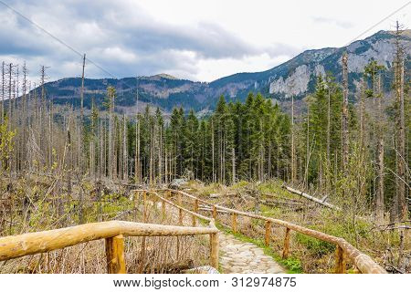 View Of The Green Hills Of The Mountains In Slovakia On The Border With Poland.
