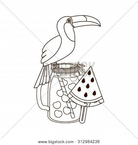 Beautiful Toucan On White Background Vector Illustration Design