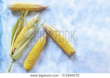 Shucked And Cleaned Sweet Corns On Bright Blue Background. Sweet Corns On Desk.