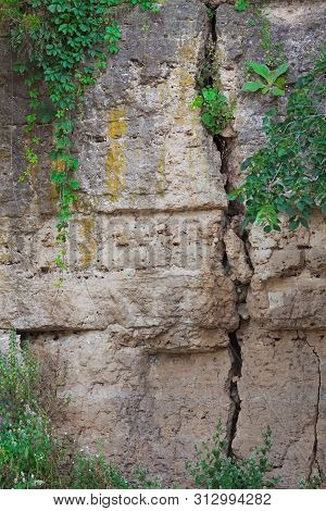 A Giant Crack Runs Down The Length Of A Limestone Canyon Wall.  Various Types Of Green Vegetation An
