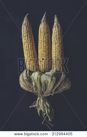 Corn Bouquet On Black Background. Bouquet Made With Partially Shucked Sweet Corns With Cobs. Raw Swe