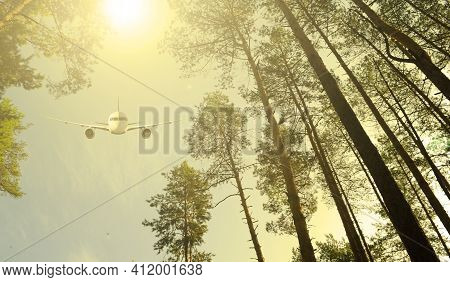 Bottom View Through The Trees In The Forest To The Plane In The Sky And The Sun