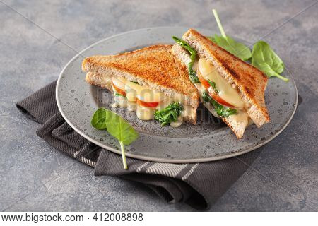 grilled cheese spinach and tomato sandwich on concrete background