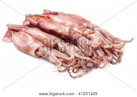 Ryhmän tuoretta kalmari