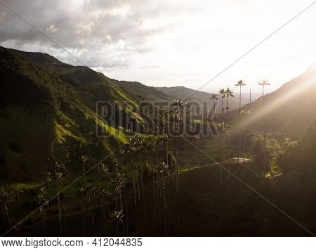 Aerial Outdoor Nature Landscape Panorama Of Tall Wax Palm Trees In Valle Del Cocora Valley In Salent