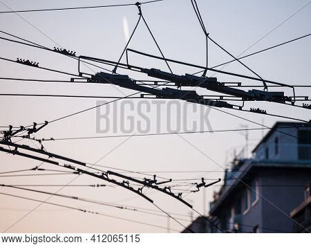 Detail Of An Overhead Cable At A Switch Interchange Of A Power Line Of A Trolleybus Route. Trolley B