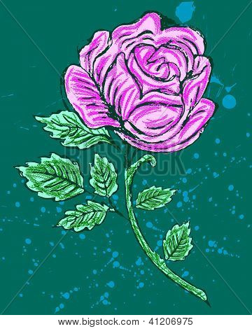 rose drawn
