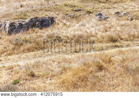 Steppe With Dry Yellow Grass, Gray Stones And Trodden Path