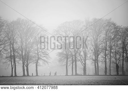 Two People Jogging Between Oak Trees In Morning Fog Near Utrecht In Forest On Utrechtse Heuvelrug
