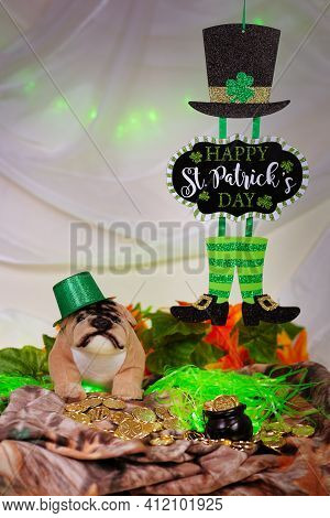 A St. Patrick\'s Day Sign, Hanging To The Right Of A Bulldog, Wearing A Green Hat With A Pot Of Gold