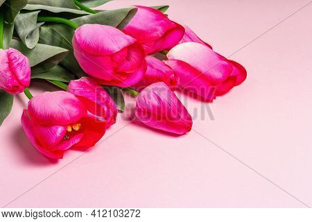 Bouquet Of Bright Pink Tulips On Matte Rosy Background