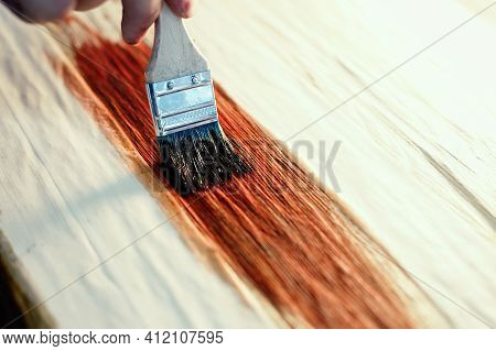 A Working Cabinetmaker Holds A Brush In His Hand And Paints A Wooden Surface. A Trace Of Paint On A 