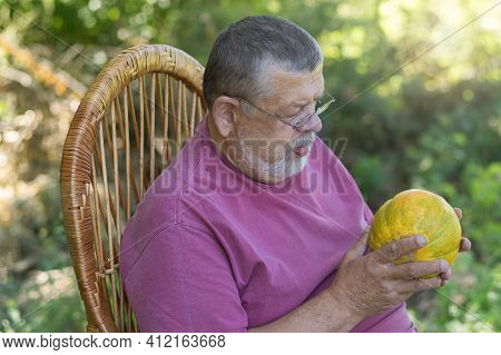 Outdoor Portrait Of  Bearded Caucasian Senior Farmer Sitting In Whicker Chair And Watching On Ripe M