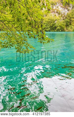 Plitvice Lakes National Park Fish Underwater In Clear Water Croatia.