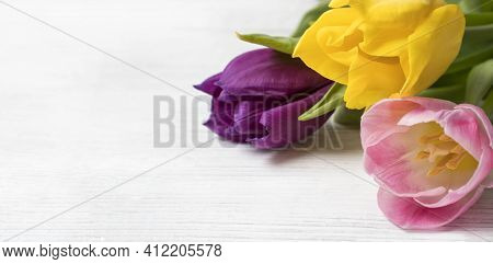 A Festive Floral Banner With A Place For Text. A Bouquet Of Bright Multicolored Yellow, Pink And Pur