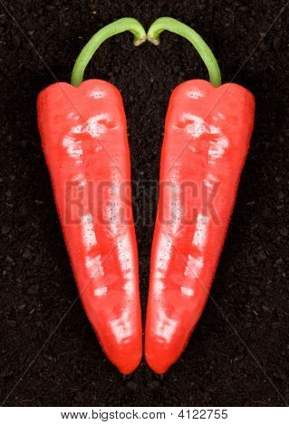 Twee Peppers