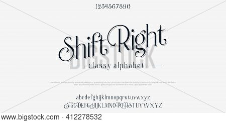 Custom Font Bundle Script Serif. Alphaber Vector Illustration