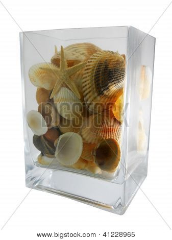 Vase avec coquilles