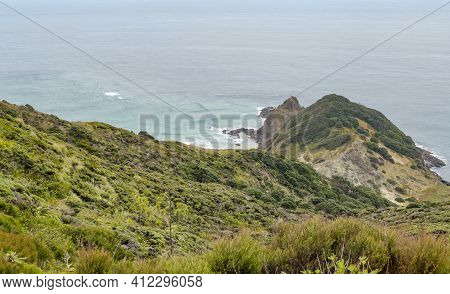 Coastal Scenery Around Cape Reinga At The North Island In New Zealand