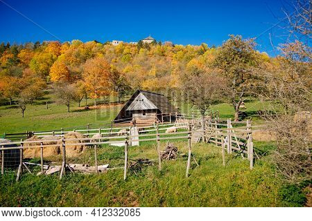 Small Farm Under Castle Tocnik, Autumn Landscape, Sunny Day, Goats And Sheep Graze On A Green Lawn A