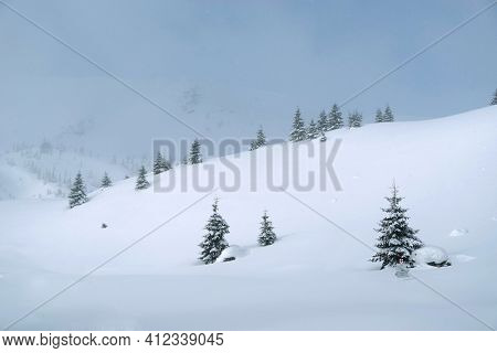 Winter in Godeanu Mountains, Carpathians, Romania, Europe