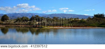 Lagoon And Dunes With Vegetation, Charca Of Maspalomas, South Of Gran Canaria, Canary Islands