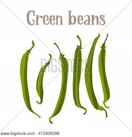 Fresh Young Green Beans Pods. Healthy Nutrition Product.