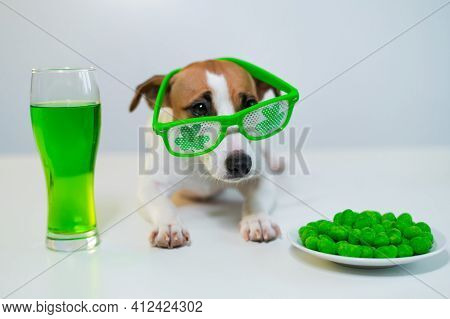 Dog With A Mug Of Green Beer And Glazed Nuts In Funny Glasses On A White Background. Jack Russell Te