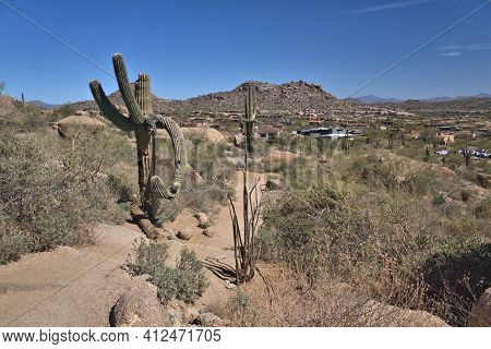 Arizona Desert Landscape