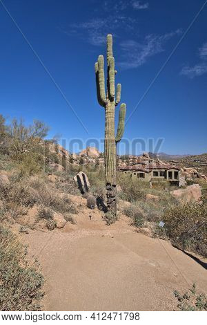 Arizona Desert Landscape