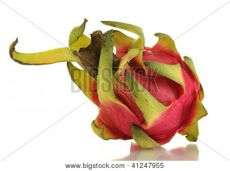 Pitahaya matura isolata on white