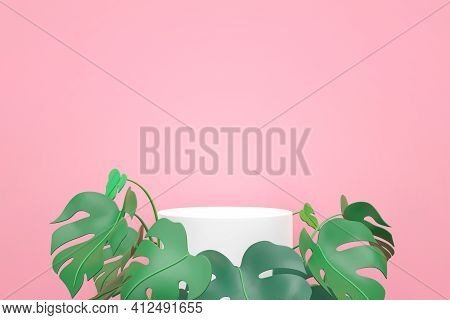 White Podium With Green Mostera Leaves On Pink Background