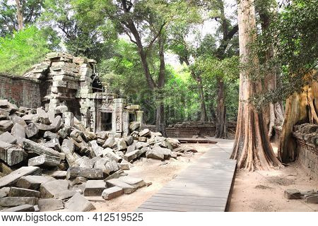 Giant banyan tree and ruins of khmer ancient temple, Angkor Wat (Angkor Thom) complex, Siem reap, Cambodia, Indochina. UNESCO world heritage Site