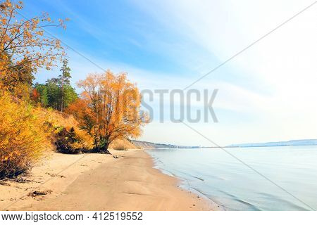 Calm fall season. Beautiful autumn tree on the sandy bank of the Volga river, Samarskaya Luka reserve, Zhiguli mountains, Russia