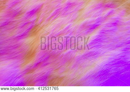 Fur Pink Background. Vivid Bright Pink Fur Texture Of Flaffy Rabbit With Idealistic Structure Of Hai